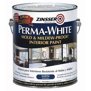 mold resistant paint