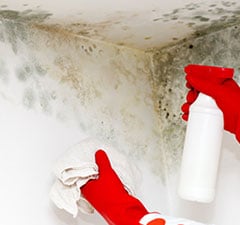how to remove mold from drywall