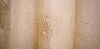 black mold on shower curtains