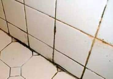 how to remove mold from grout