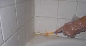 shower caulk mold removal