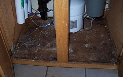 black mold under kitchen sink