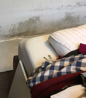 Black Mold in Bedroom? Learn How to Remove Bedroom Mould!