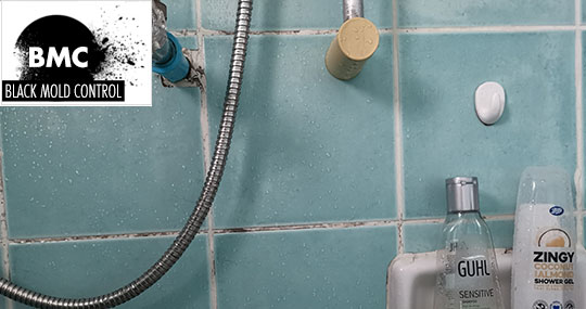 how to get rid of mold in shower