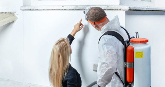 how to get rid of black mold