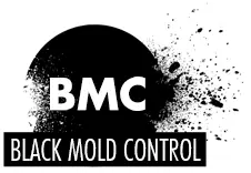 Black Mold Removal and Control