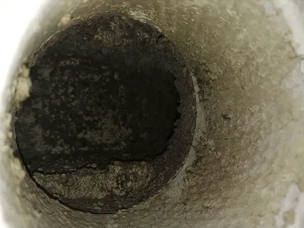 black mold in vents