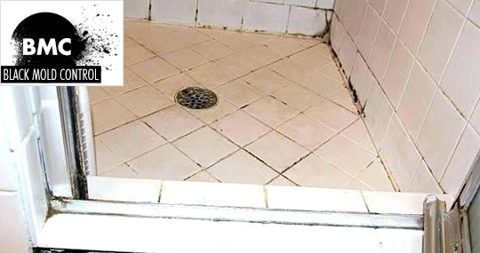 black mold in shower grout