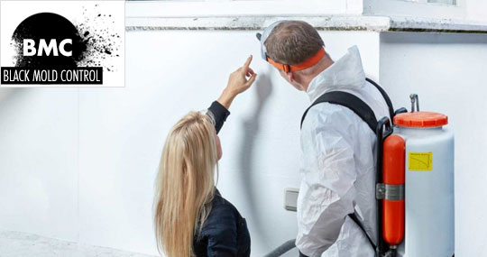 how to remove mold from walls